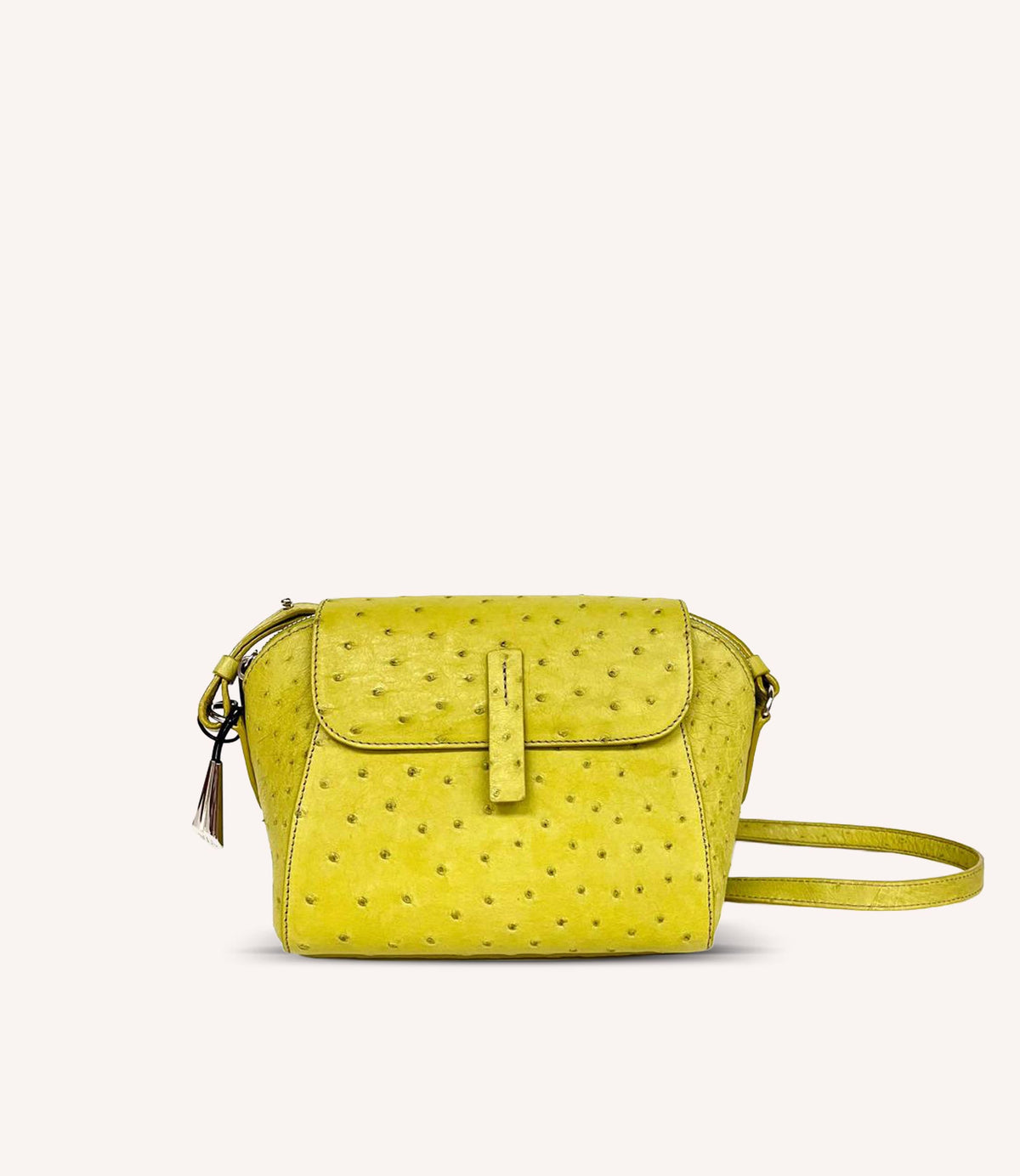 ⭐︎美品⭐︎Ostrich crossbodybag 2way hand bag